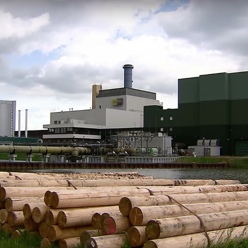 Steeds meer biomassacentrales in Nederland